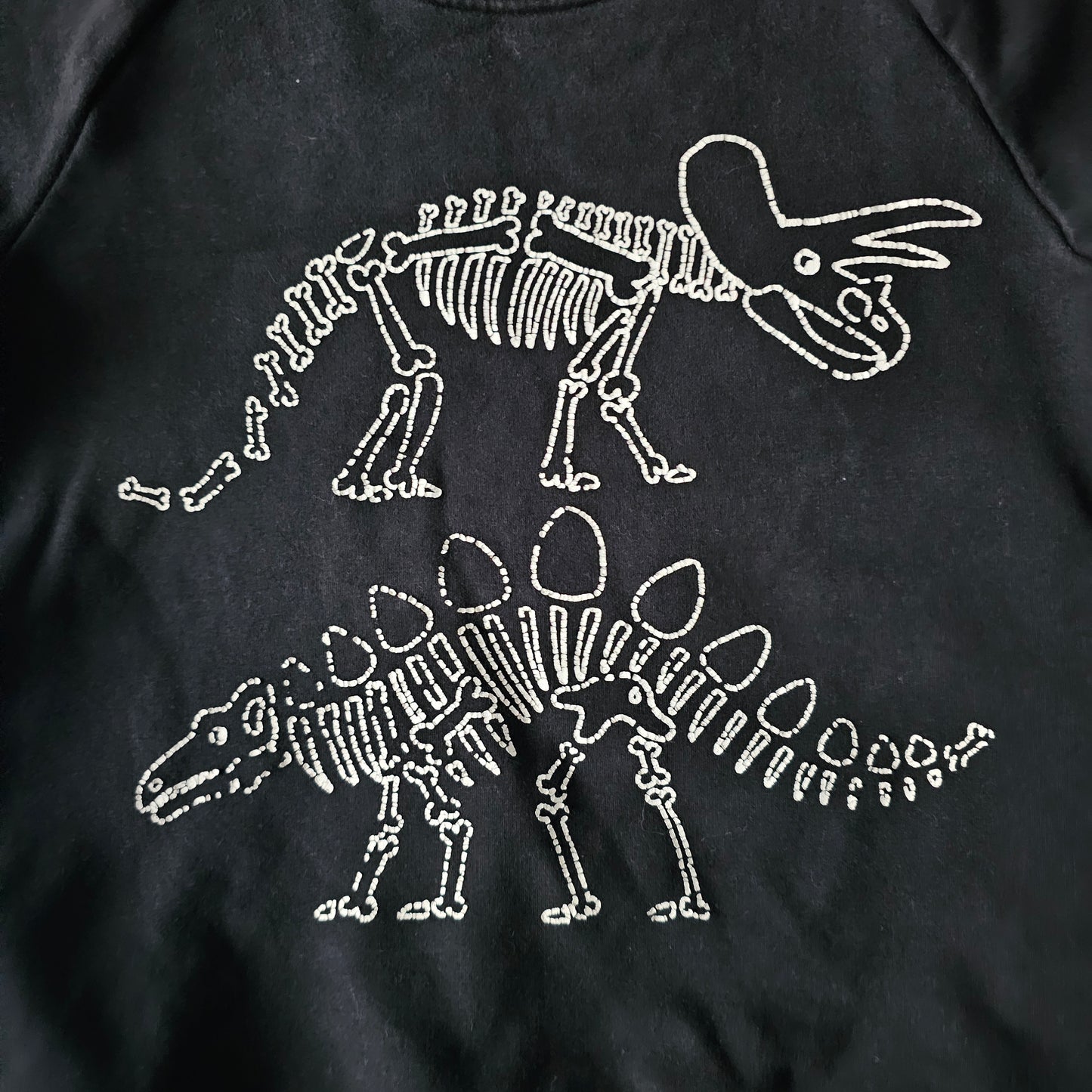 Minti Furry Dinosaur Sweatshirt (minor flaw) - Size 5